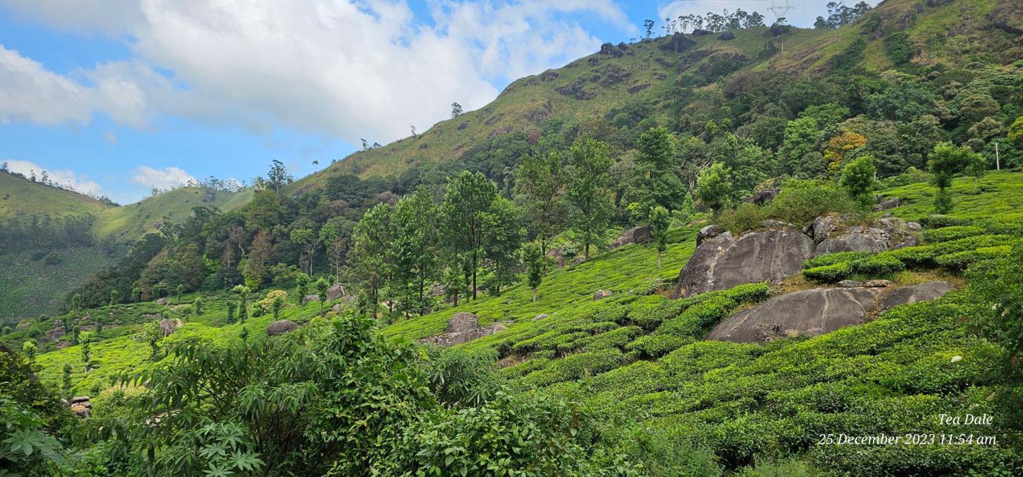 Tea Dale - All Rooms With Tea Estate View Munnar Εξωτερικό φωτογραφία
