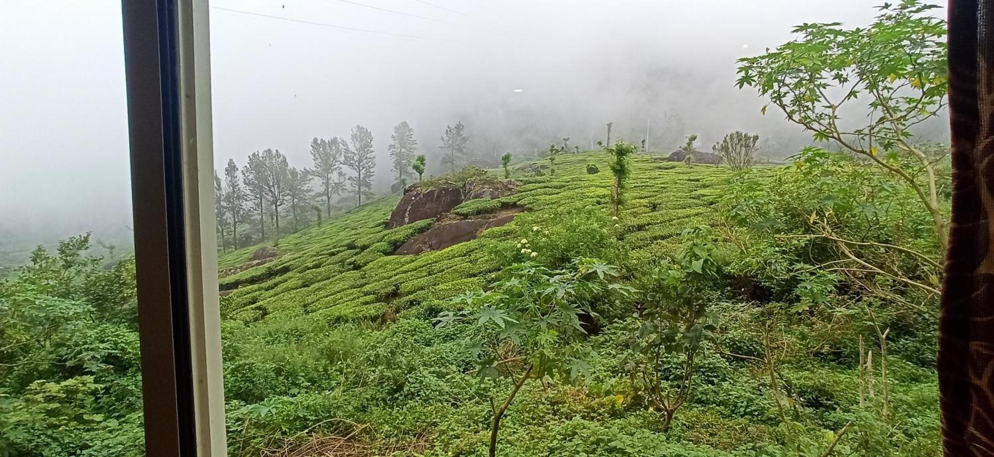Tea Dale - All Rooms With Tea Estate View Munnar Εξωτερικό φωτογραφία