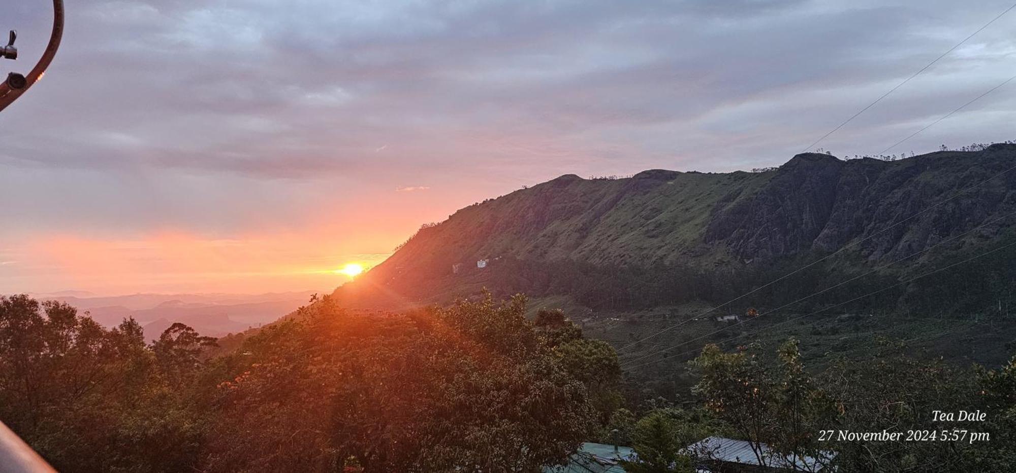 Tea Dale - All Rooms With Tea Estate View Munnar Εξωτερικό φωτογραφία