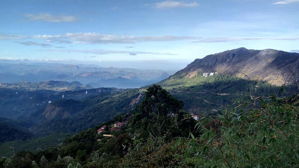 Tea Dale - All Rooms With Tea Estate View Munnar Εξωτερικό φωτογραφία