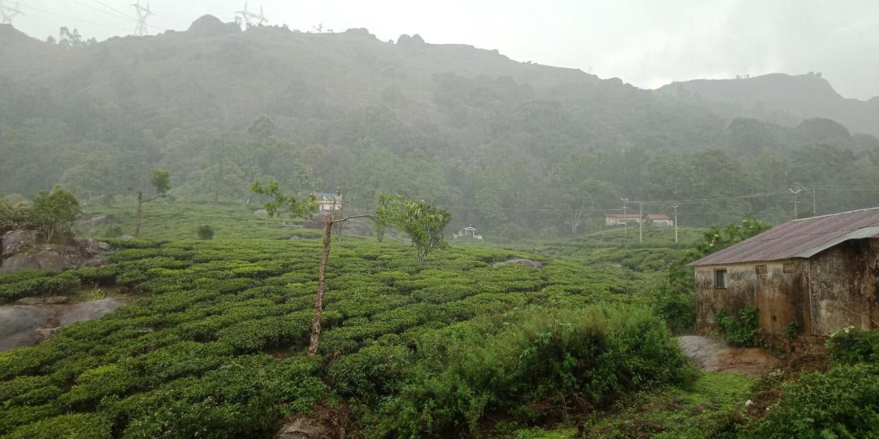 Tea Dale - All Rooms With Tea Estate View Munnar Εξωτερικό φωτογραφία
