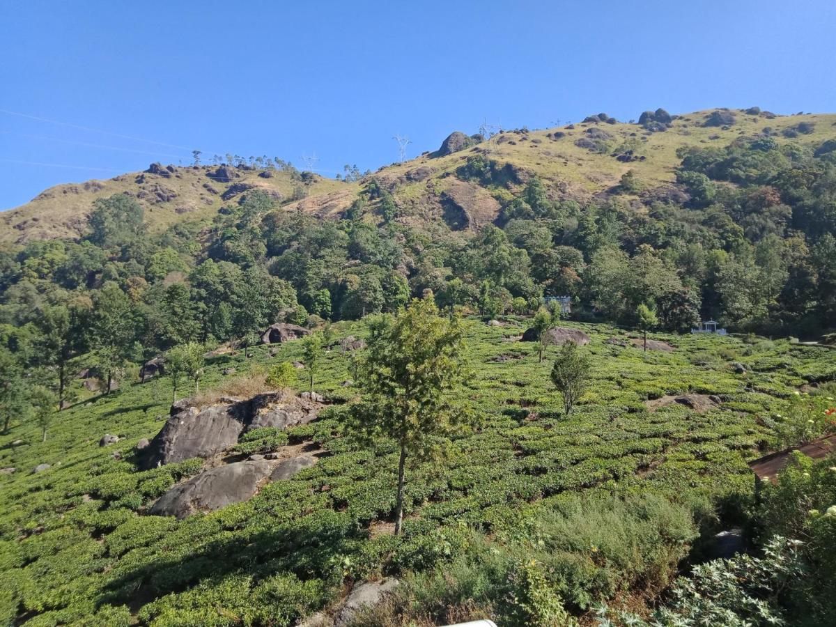 Tea Dale - All Rooms With Tea Estate View Munnar Εξωτερικό φωτογραφία
