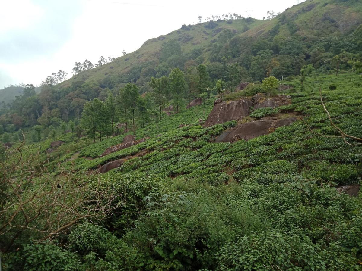 Tea Dale - All Rooms With Tea Estate View Munnar Εξωτερικό φωτογραφία