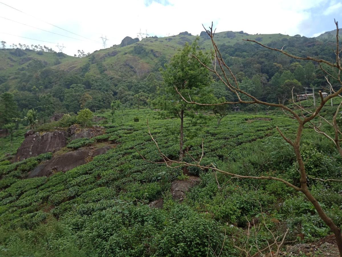 Tea Dale - All Rooms With Tea Estate View Munnar Εξωτερικό φωτογραφία