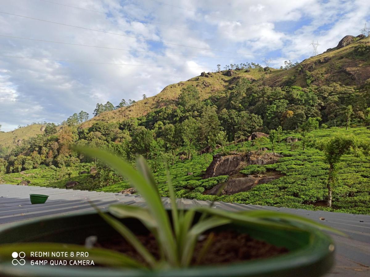 Tea Dale - All Rooms With Tea Estate View Munnar Εξωτερικό φωτογραφία